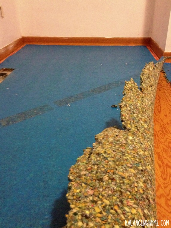 Tearing up the Carpeting #biggirlroom